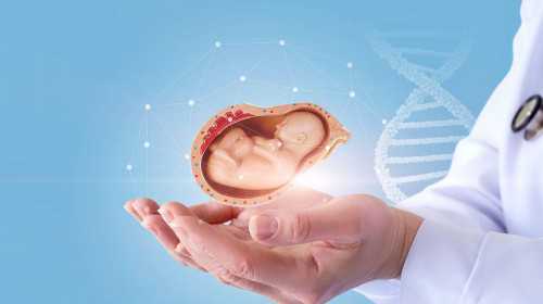 广州有胚胎找代孕妈多少钱|泸州试管婴儿哪家最好一起来看看医院选择标准