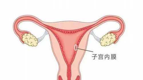 广州哪里有中介代孕孩子的|三明供卵试管机构