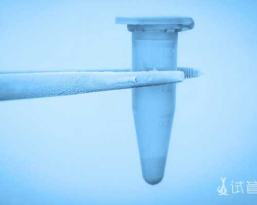 广州爱为试管代孕|第三代试管婴儿价位比前两代贵在哪里？