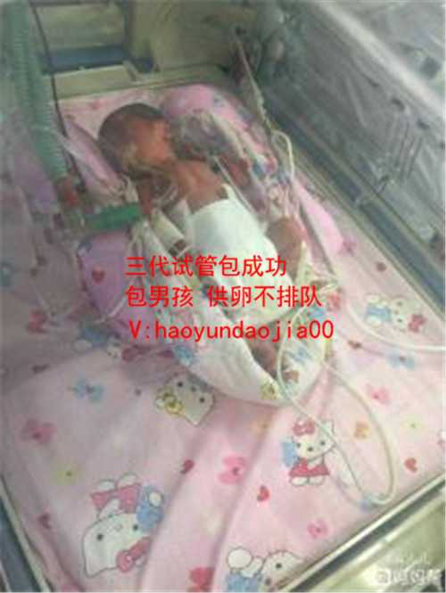 自己去广州做供卵_默默供卵_试管婴儿促排卵期间感冒了会不会降低成功率