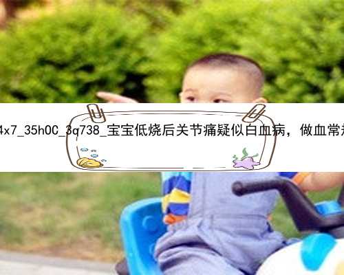 广州有正规代孕的机构吗|204x7_35hOC_3q738_宝宝低烧后关节痛疑似白血病，做血常