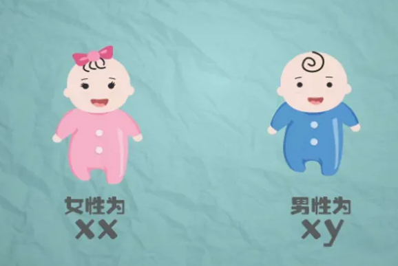 广州代生哪个不错 广州十大试管婴儿医院排名，看看如何选择! ‘四维彩超通过